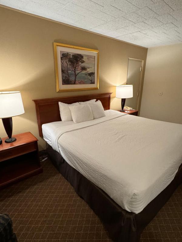 King Room - Non-Smoking image 2