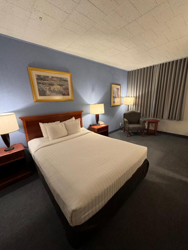 Queen Room - Disability Access/Non-Smoking image 2