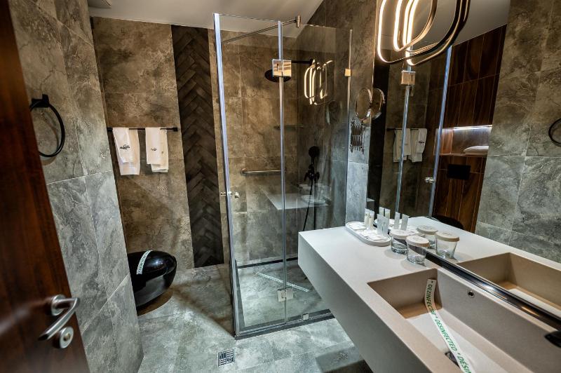 Deluxe Double or Twin Room image 4