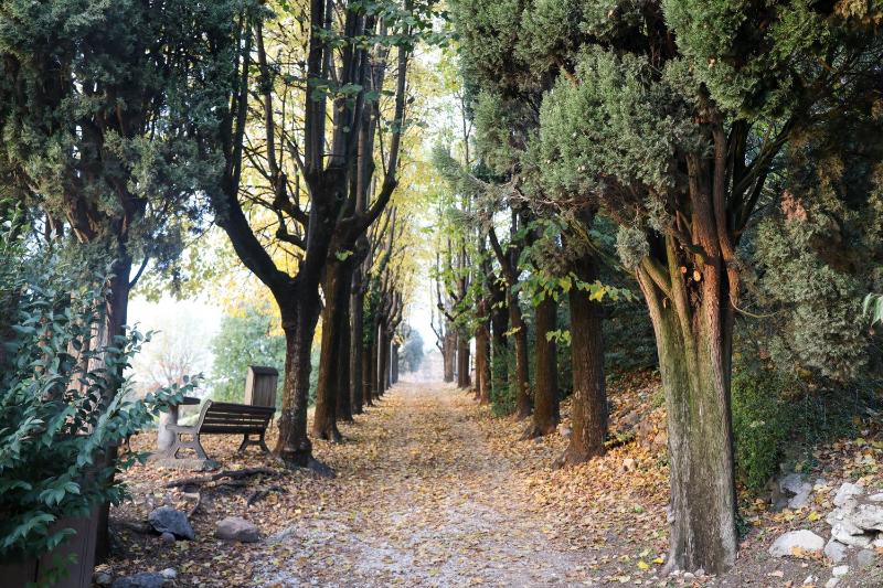 Apartment with Balcony image 4