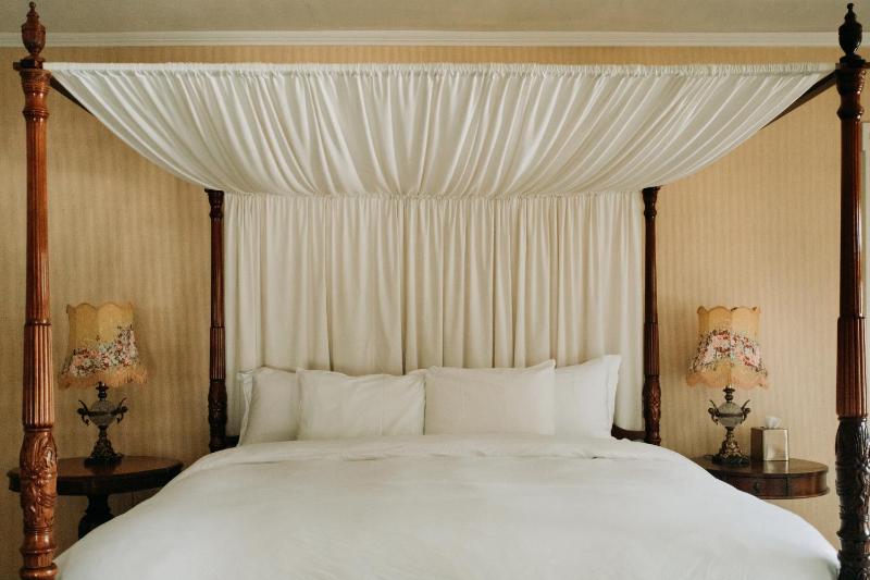 Deluxe King Suite image 4