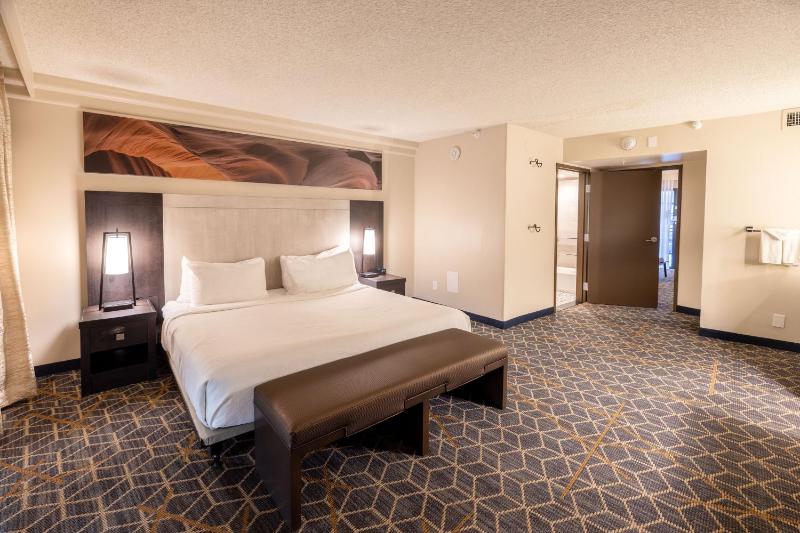 Embassy Suites By Hilton Hotel Phoenix-Biltmore - image 18