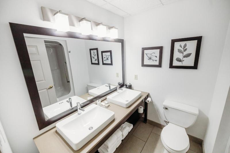 One-Bedroom King Suite with Sofa Bed - Non-Smoking image 3