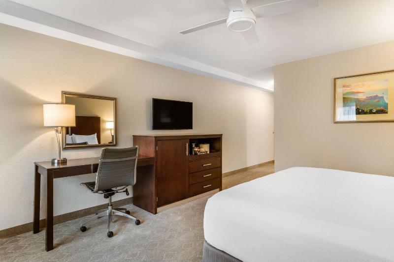 King Room - Non-Smoking image 4