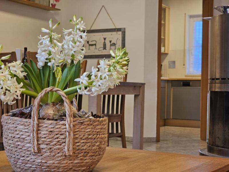 Ferienhaus Ankerplatz im Bootshaus - image 21
