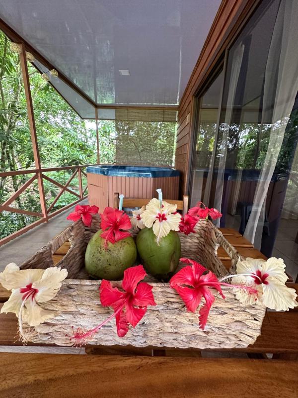 CABAÑAS DEL LAGO / BUNGALOWS - image 15