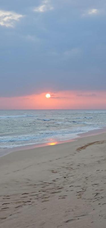 White Surfing Beach Resort - image 3