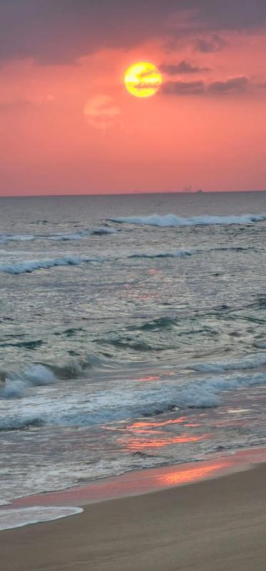 White Surfing Beach Resort - image 9