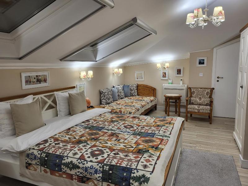 Hotel Odeon - image 12