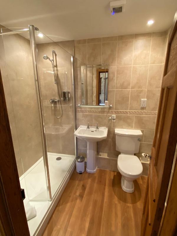 Deluxe King Room image 2