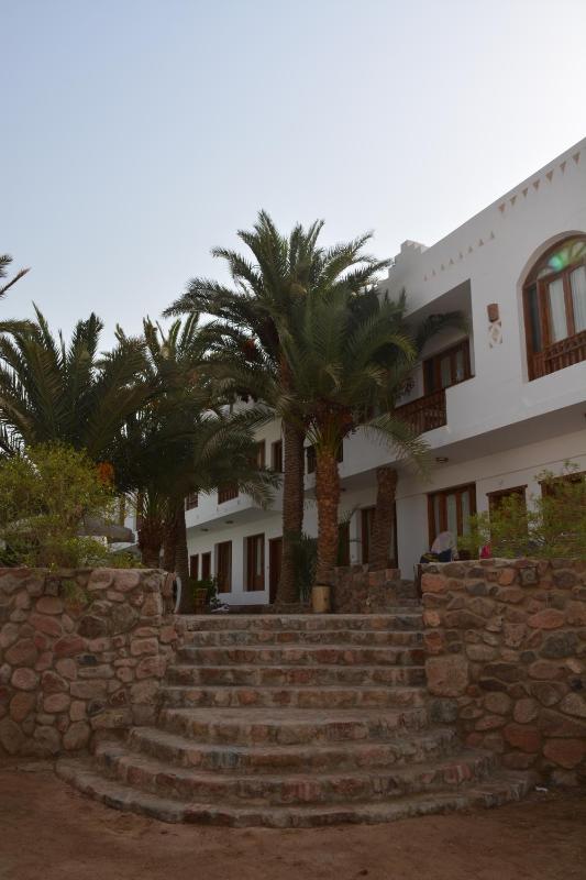 Dahab Divers - image 5
