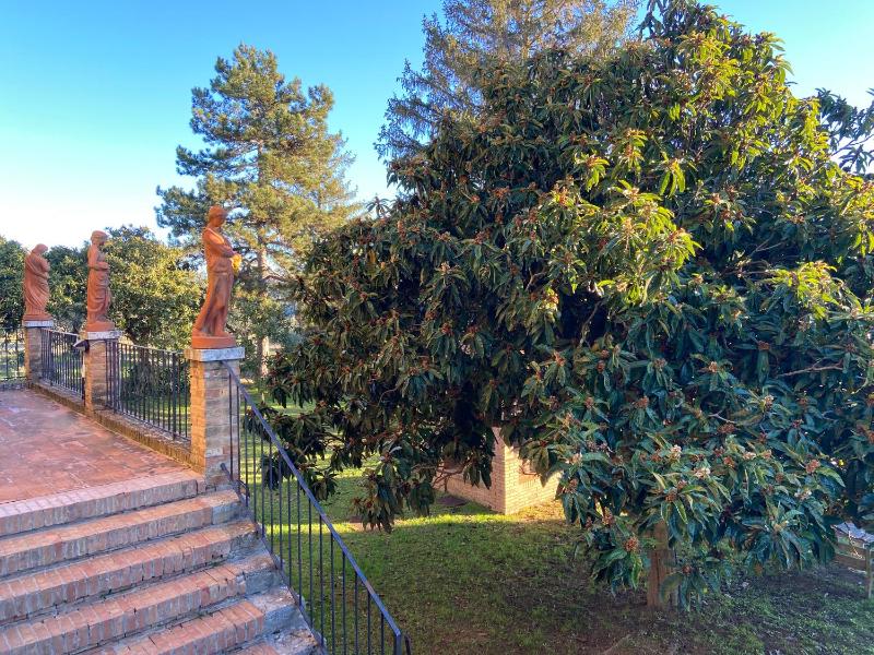 CasaLeTolfe Residence - image 32