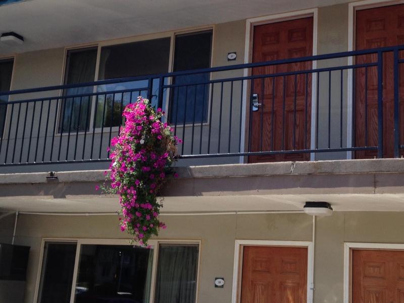 Cameo Motel - Portland - image 19