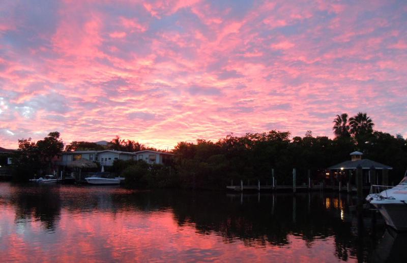 Manatee Bay Inn - image 7