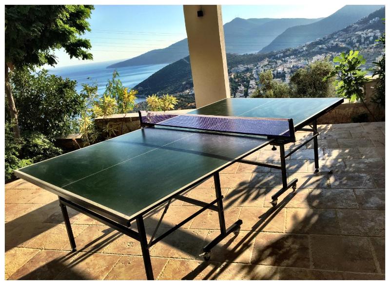Villa Valo - image 5