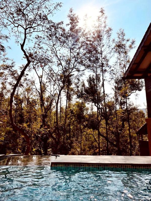 Sereno Barn Eco Stay Chikmagalur - image 26