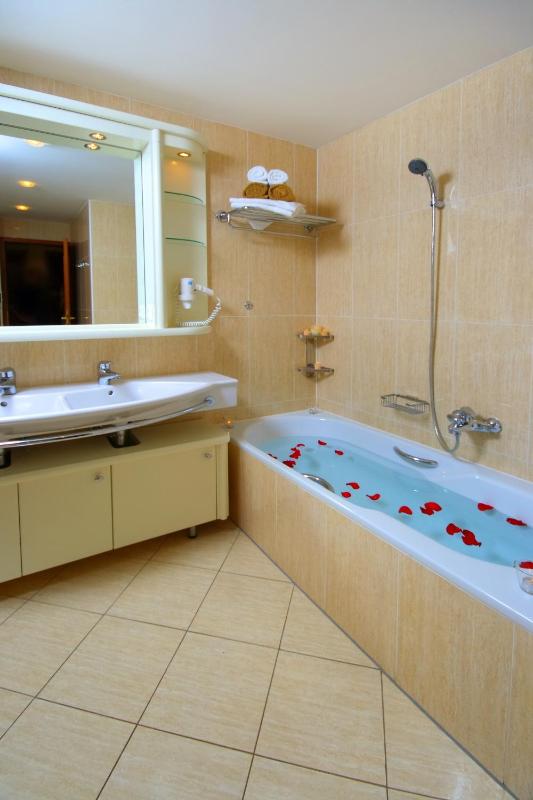  One-bedroom Deluxe Apartment Suite image 2