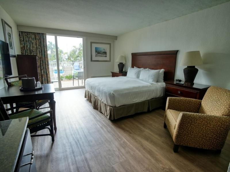 King Room - Non-Smoking image 3