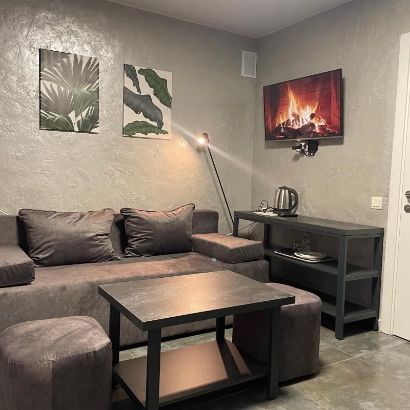 Apartment - Split Level image 4