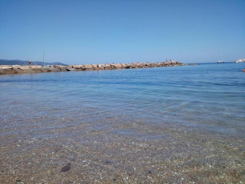 Appartement T2 avec Parking Proche Plage et Commerces - Bormes-les-Mimosas - FR-1-251-519 - image 10