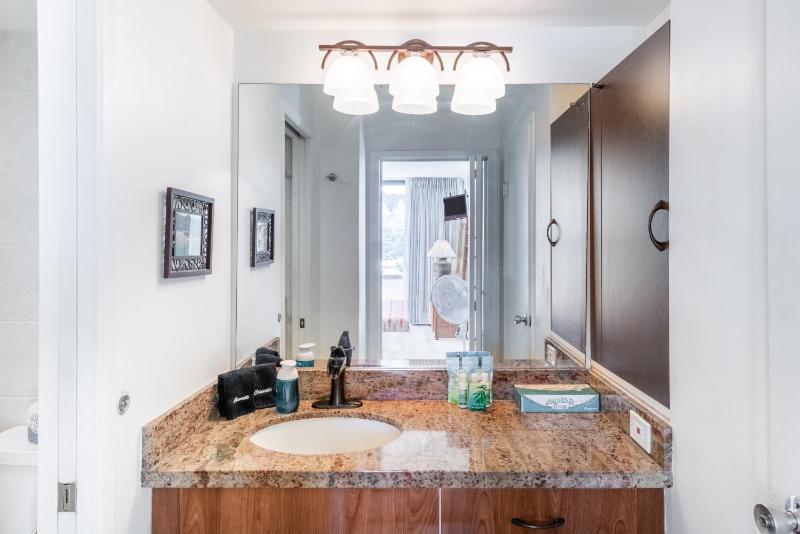 Deluxe Condo with Pool View Free Parking & Wi-Fi - image 3