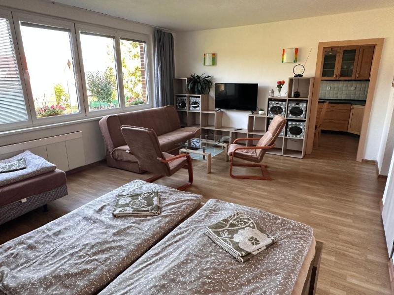 Apartmány U rybníka - image 1