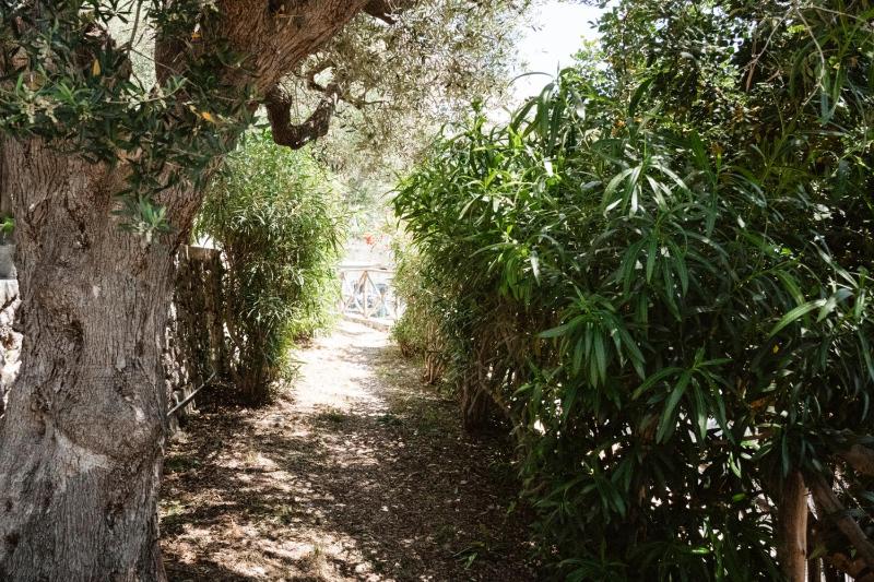 Amalfi Gioia House - image 9