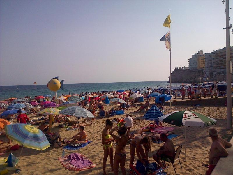 Hotel Iris - image 43