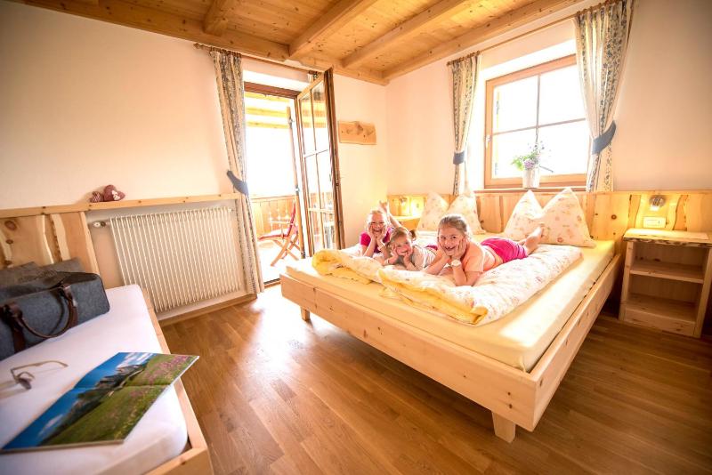One-Bedroom Apartment with Terrace image 3