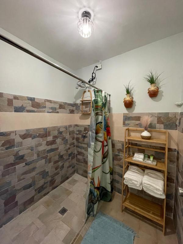 Standard Apartment image 4