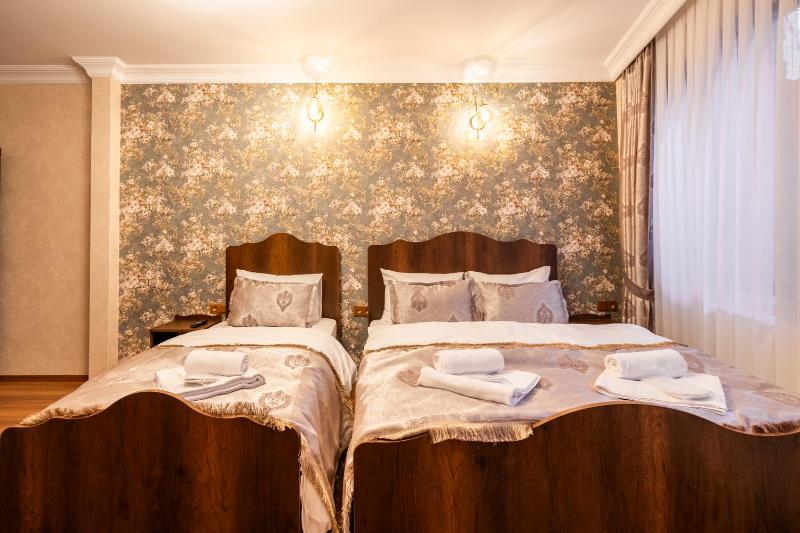 Deluxe Single Room image 4