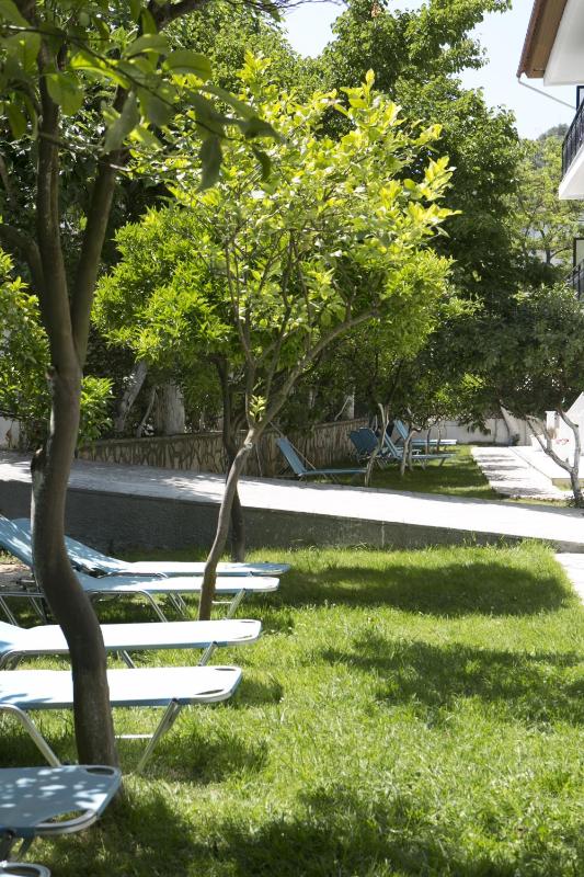 Studio with Garden View image 3