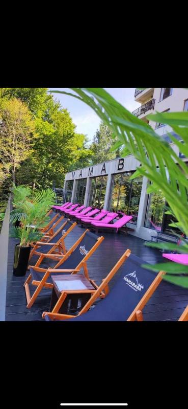 Apartman Šmizla N lux - Milmari Resort - image 14