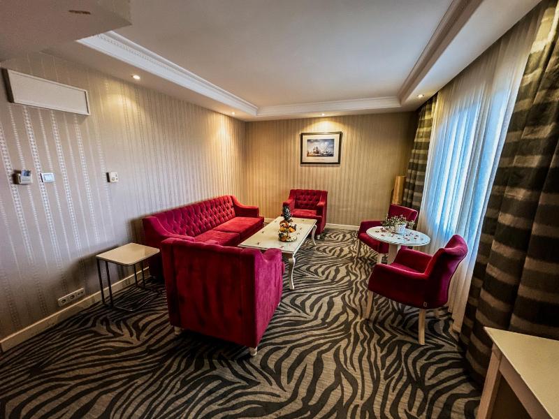 Standard Suite image 4