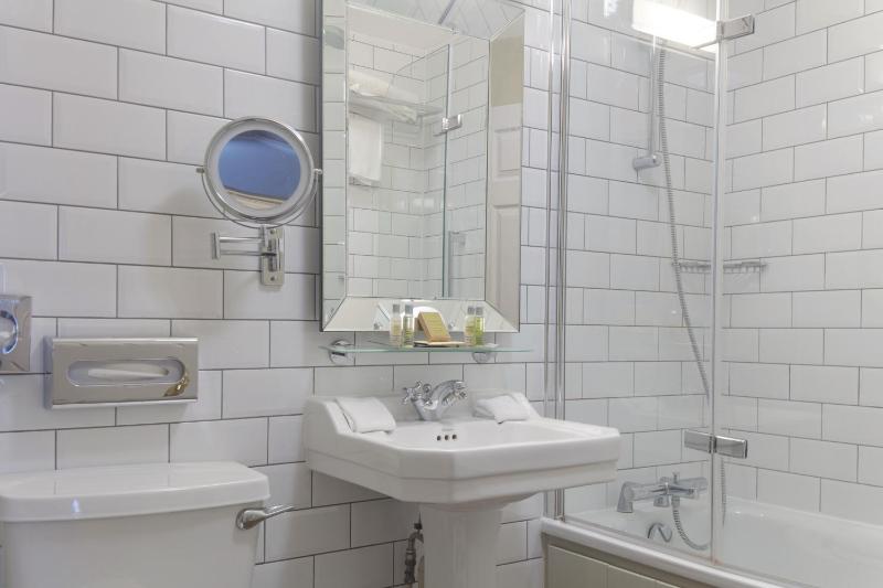 Deluxe King Room image 1