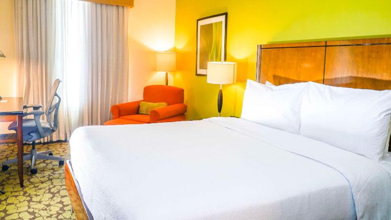 Hilton Garden Inn Panama City Downtown - image 7