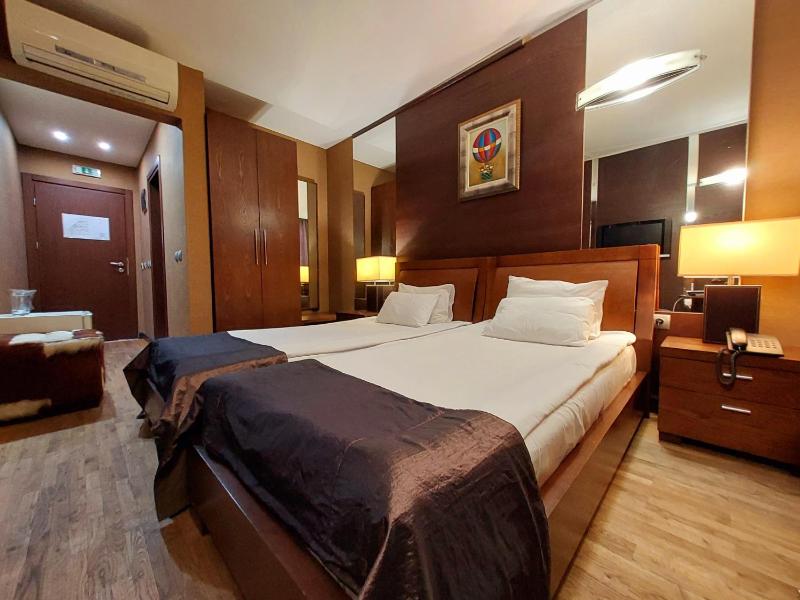 Standard Double or Twin Room image 4