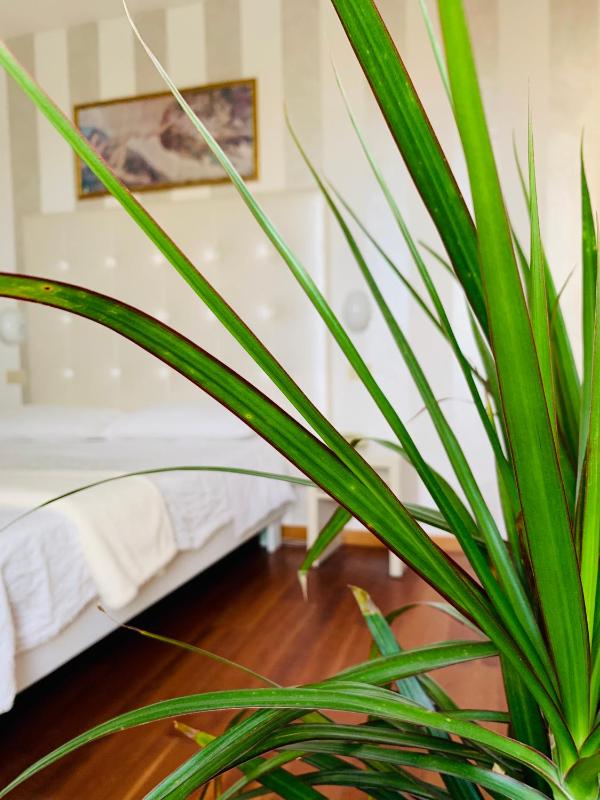 Double Room with Terrace image 4