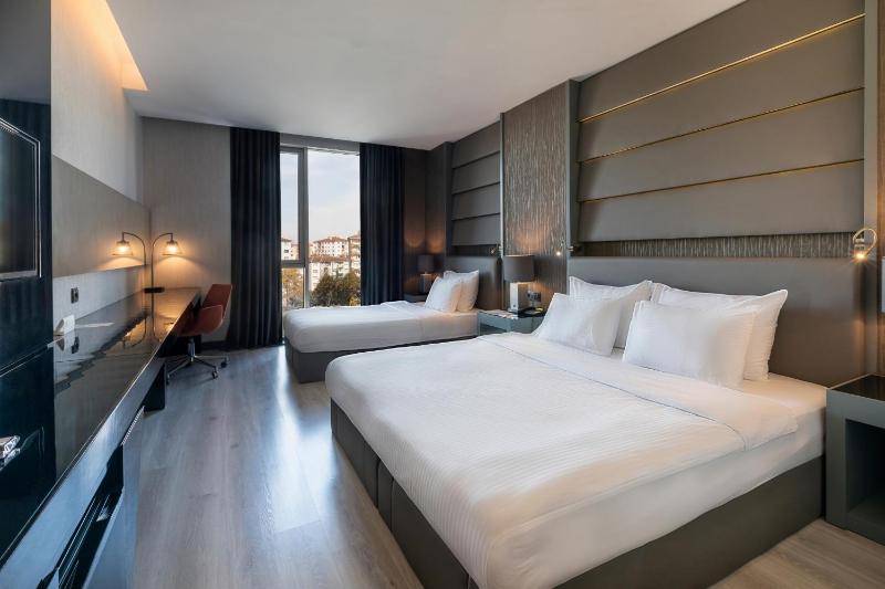 Deluxe King Room image 1