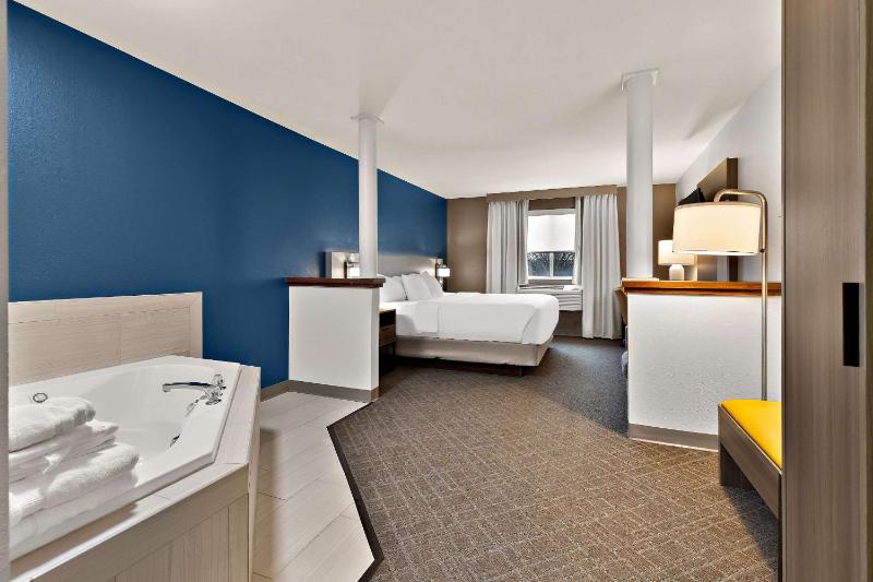 One-Bedroom King Suite with Spa Bath image 3