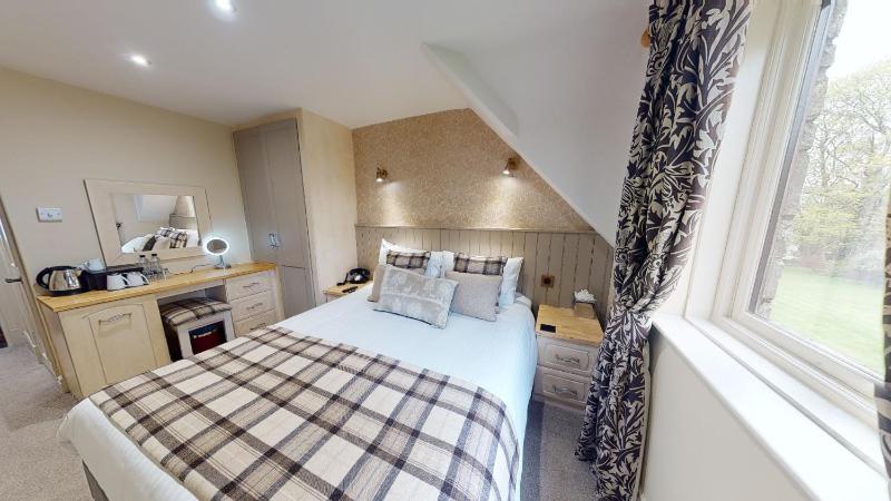 Cosy King image 3