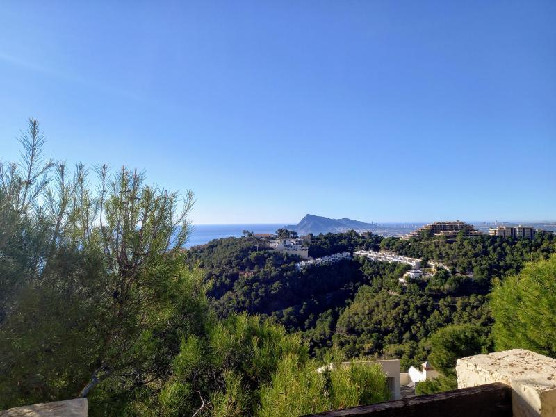 Altea Olivos G - image 4