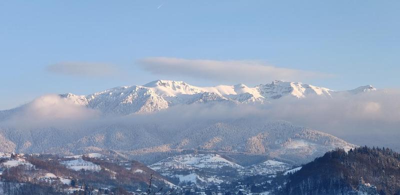 Casa Ciubărului Bran - image 16