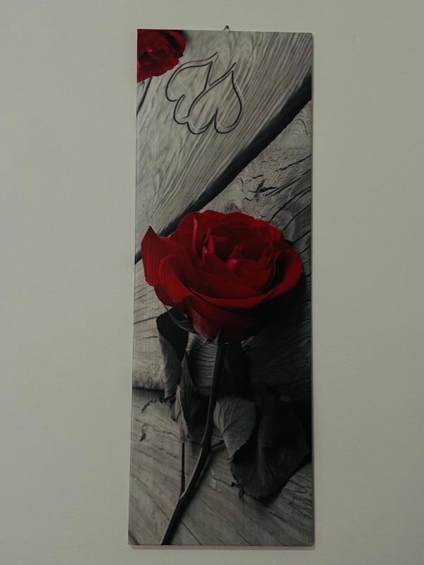 APPARTAMENTO Exclusive - image 1