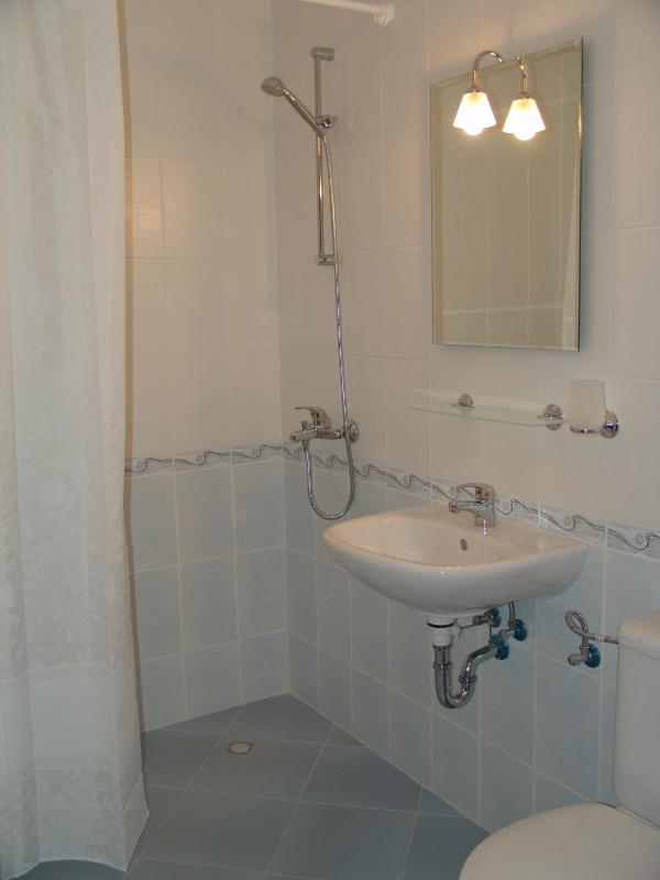 One-Bedroom Apartment with Balcony (4 Adults) image 3