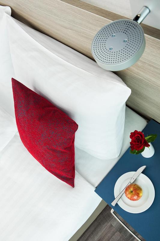 Business Plus Double Room image 4