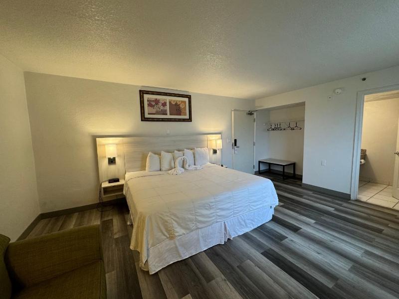 Emerald Shores Hotel - Daytona Beach - image 15
