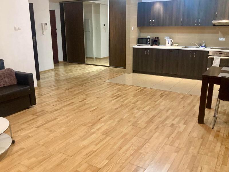 One-Bedroom Apartment image 3