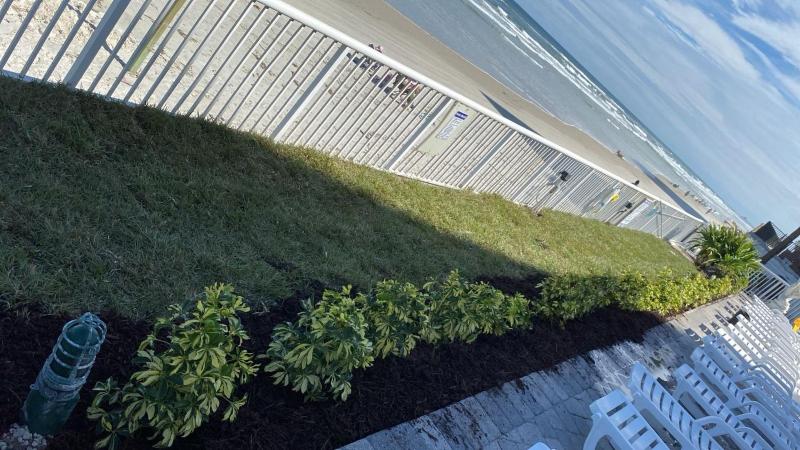 Emerald Shores Hotel - Daytona Beach - image 5