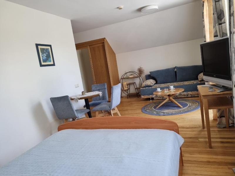 Birutes Apartments - image 7